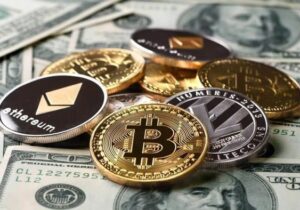 WhatsApp Image 2025 07 09 at 12.16.24 PM | Mintedmindz.com